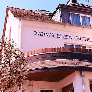 Baum´s Rheinhotel